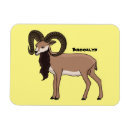 Recherche de mouflon magnets Mouton