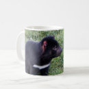 Recherche de diable tasmanien tasses Marsupial
