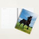 Recherche de étalon noir bureau fournitures Chevaux
