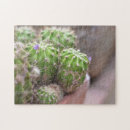 Recherche de fleurs puzzles Plante