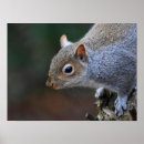 Recherche de bel arbre posters Nature