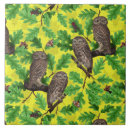 Recherche de hibou carreaux Forêt
