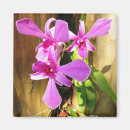 Recherche de orchidee magnets Pour elle