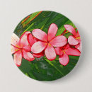 Recherche de plumeria badges Frangipani