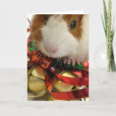 Recherche de porc noël cartes Animal familier
