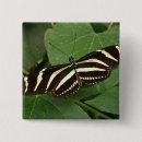 Recherche de aile papillon badges Insecte