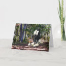 Zoek naar runen kaarten Natuur