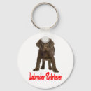 Recherche de labrador brun porteclés Chien