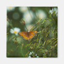 Recherche de papillon orange magnets Été