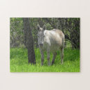Zoek naar donkey puzzels Boerderij