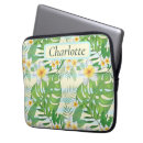 Recherche de plumeria coques Île