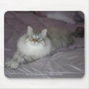 Recherche de mousepads photographie Animaux familiers