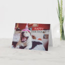 Recherche de image drôle de chien vœux cartes Mignon