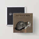 Recherche de chat gris badges Chaton