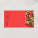Recherche de fleurs rouges cartes visite Client(e)