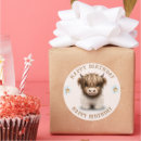 Recherche de scottish autocollants Heilan coo