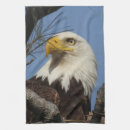 Recherche de aigles cuisine linges Aigle chauve
