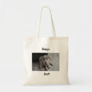 Recherche de photos des chats sacs Rangement