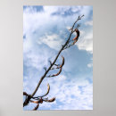 Recherche de biologie posters Fleurs