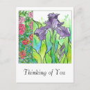 Recherche de iris cartes postales Rose