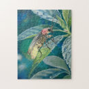 Recherche de lucioles puzzles Nature