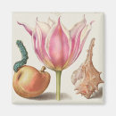 Recherche de illustrations vintages de fruit magnets Botanique