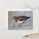 Recherche de du nord ouest cartes postales Photographie de la nature