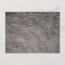 Recherche de échalote cartes postales Oignon