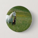 Recherche de poulain de cheval badges Chevaux