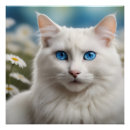 Recherche de x posters Blanc