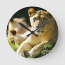 Recherche de lion africain horloges Safari
