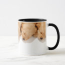 Recherche de chien de sommeil tasses Chiot