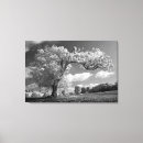 Recherche de soufflement dans le vent art Arbre
