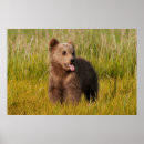 Recherche de images animales posters Bébé
