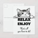 Recherche de chaton mignon cartes postales Animal de compagnie