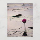 Zoek naar cambodja briefkaarten Water