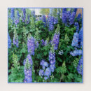 Recherche de delphiniums Pour tous