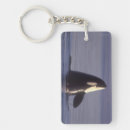 Zoek naar orca sleutelhangers Dieren in het wild