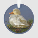 Recherche de canard en plastique ornements Mignon
