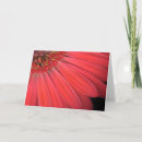 Recherche de gerber vœux cartes Rouge