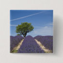 Recherche de provence badges Violet