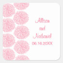 Recherche de zinnia rose Zinnias
