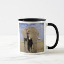 Recherche de allison tasses Nature