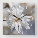 Recherche de star horloges Toute personne