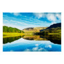 Zoek naar naaldboom posters Landschap