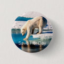 Recherche de ours blanc badges Porter