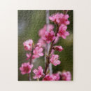 Zoek naar bloesems puzzels Tak