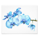 Recherche de orchidée bleue posters Fleurs