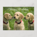 Recherche de golden retriever anniversaire cartes Doré