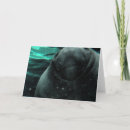 Recherche de pour lamie vœux cartes Floride